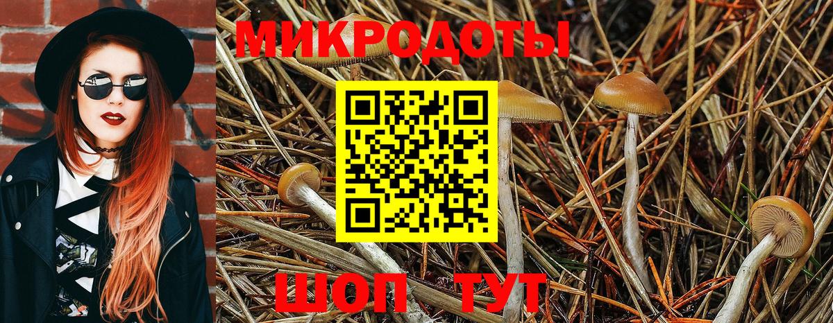 Галлюциногенные грибы MAGIC MUSHROOMS Кувандык